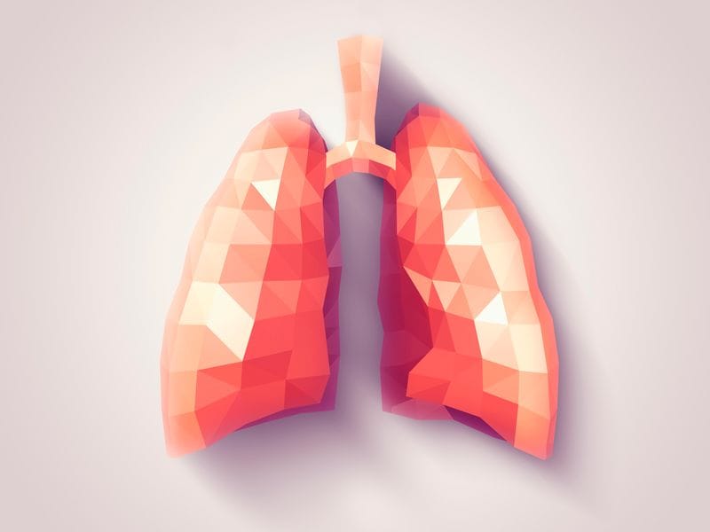 UCLA Researchers use Stem Cells to Grow 3-D Lungs