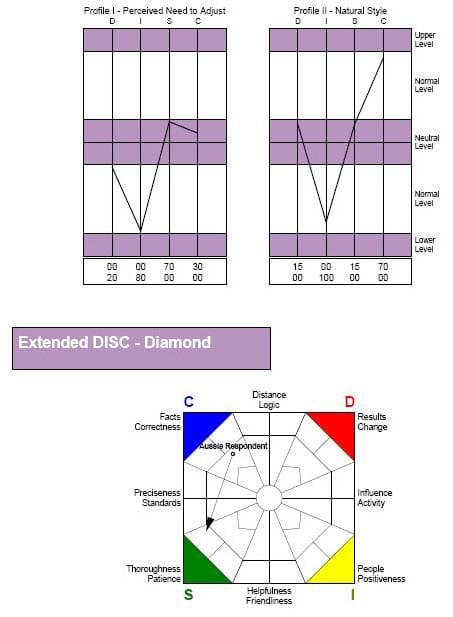 Extended DISC Reports. Accreditation & Workshops at Talent Tools