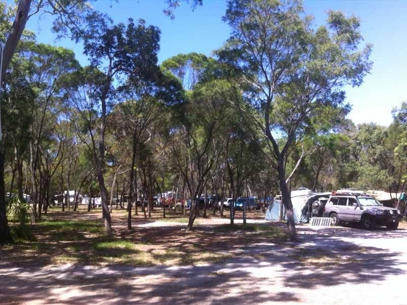 Workmans Beach, Agnes Water-Qld-Campsight