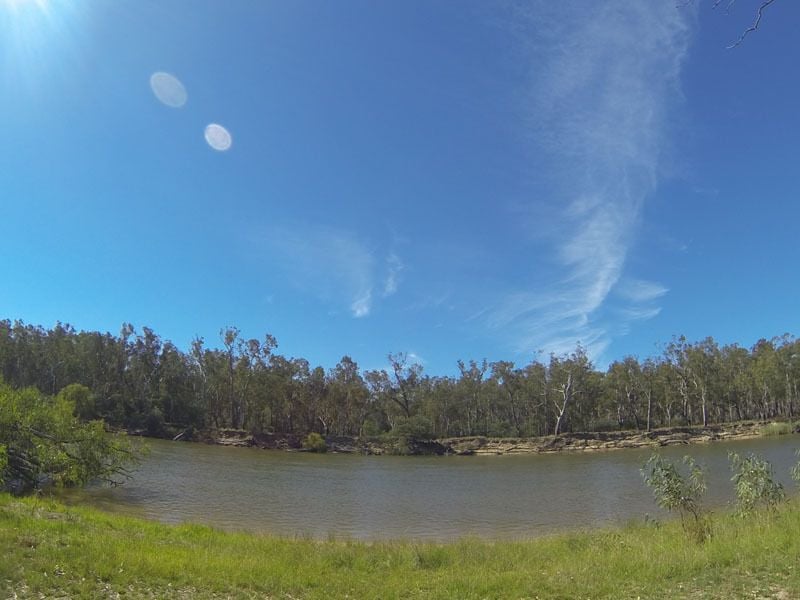 Horseshoe Lagoon, Cobram Nature Reserve