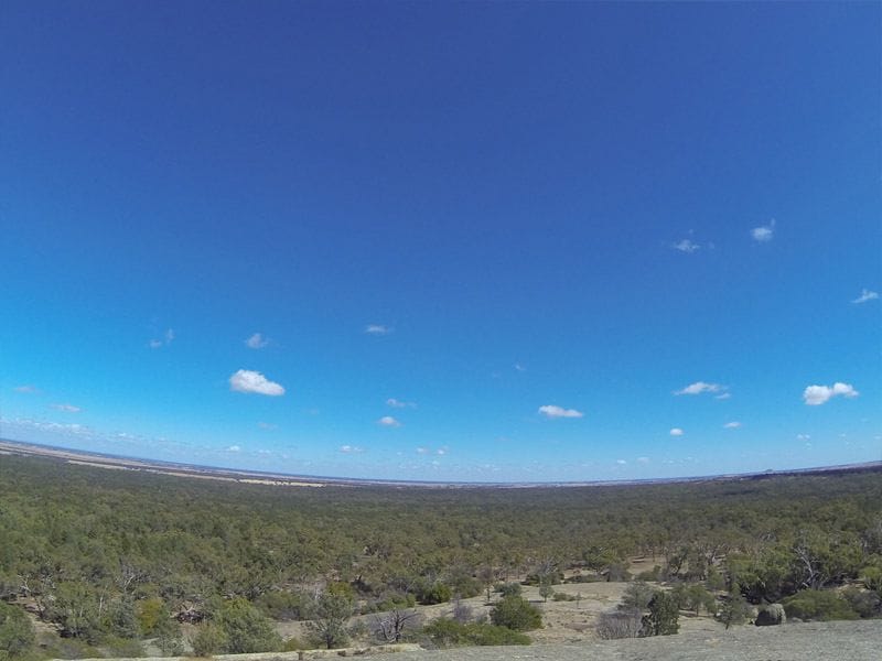 Terrick Terrick National Park, Mitiamo