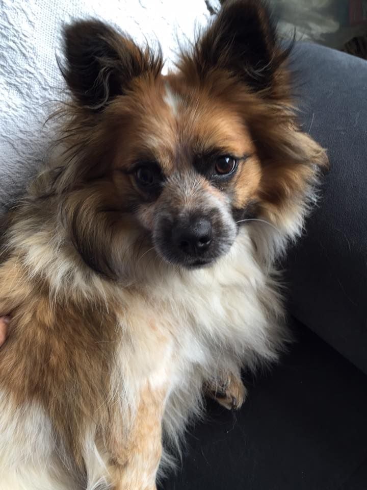 Sarah - 29 October 2015